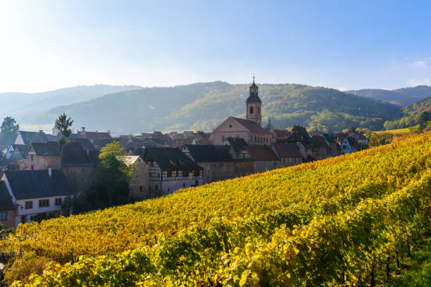 otoño paisaje con viñedos cerca de la histórica villa de riquewihr, alsacia, francia - europa. viaje colores y fondo vitivinícola. - alsacia fotografías e imágenes de stock