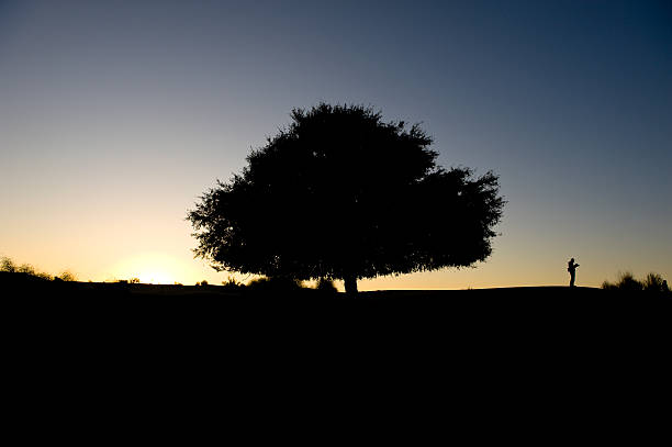 istock Silhouette of lonely tree against dark blue sky 91737858