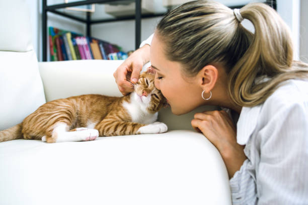 istock Woman with cat at home 917378850