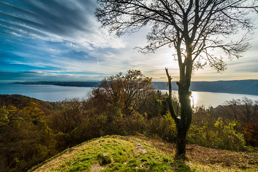 Panorama over Lake Constance with the Alps and Island Mainau in the Background