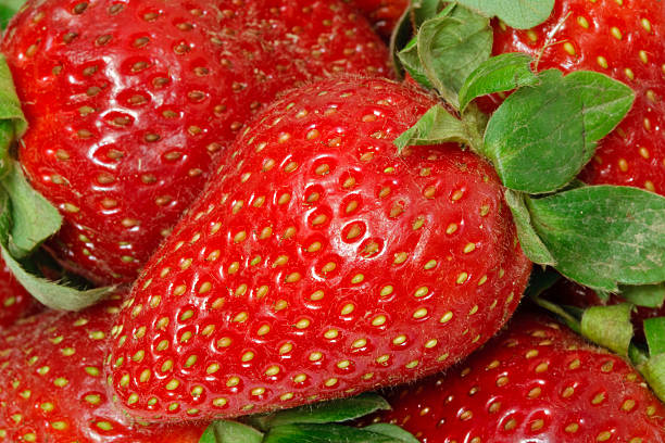 Strawberry stock photo