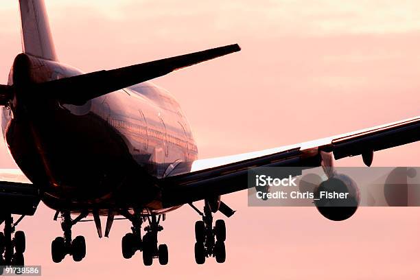 Large Passenger Airline In The Pink Sky Stock Photo - Download Image Now - Reflection, Aerospace Industry, Air Vehicle
