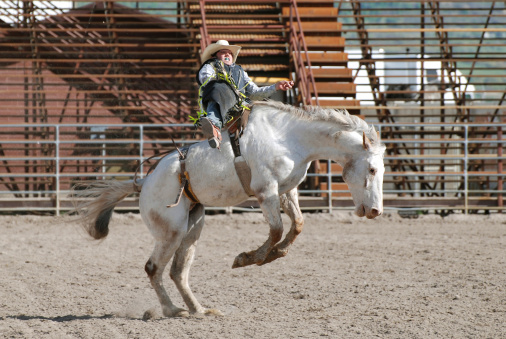Young cowboy riding bareback on bucking horse in Utah High School Rodeo.