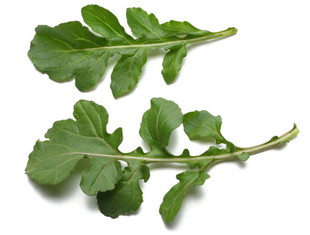 istock green fresh rucola leaves isolated on white background. Rocket salad or arugula. 917390320