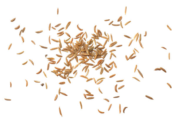 istock Cumin or caraway seeds isolated on white background. Top view 917391420