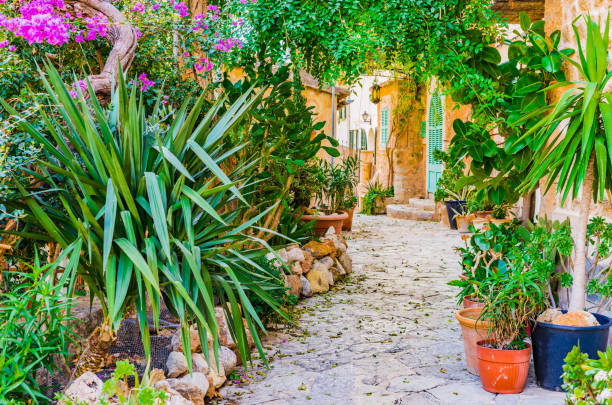 idilliaca casa mediterranea gardenh bellissime piante da fiore - terra cotta pot foto e immagini stock