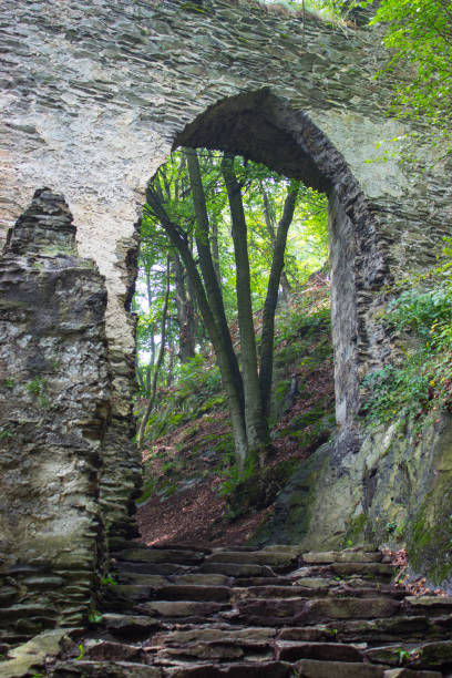 istock Stone castle gate in the woods 917395600