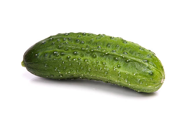 Cucumber isolated on white. stock photo