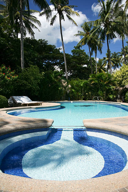 giardino tropicale piscina filippine - luxury hotel palm tree lush foliage asia foto e immagini stock