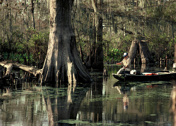 Man Fishing In Swamp Stock Photo - Download Image Now - Fishing