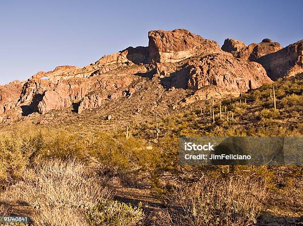 Foto de Montanhas Do Monumento Nacional Organ Pipe e mais fotos de stock de Arizona - Arizona, Cacto, Cacto Gigante Americano