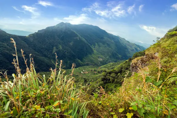 Photo of Sunrise in meadows and mountains landscape, Worlds End in Horton Plains National Park Sri Lanka.