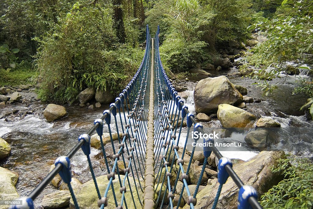 Single Rope Bridge Stock Photo - Download Image Now - Above, Adventure,  Architecture - iStock