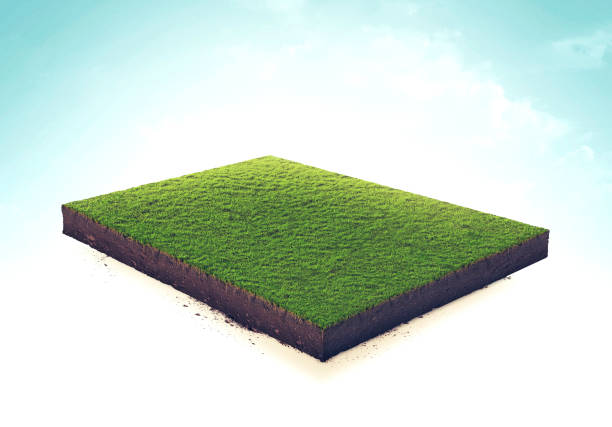 coupe isométrique, blanc fond d’herbe isolée illustration 3d verte. - square slice photos et images de collection