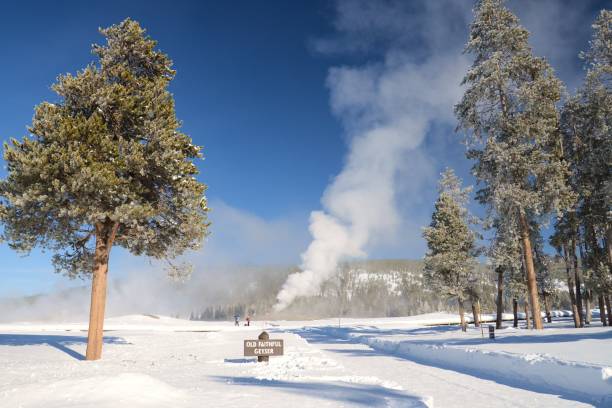 istock Old Faithful Erupts during Winter 917416232