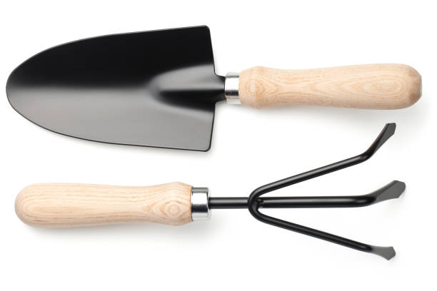istock Garden Shovel and Rake Isolated on White Background 917420864