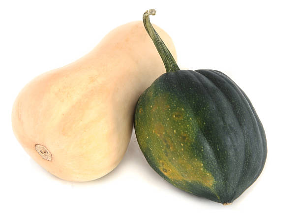butternut and acorn squash  acorn squash stock pictures, royalty-free photos & images