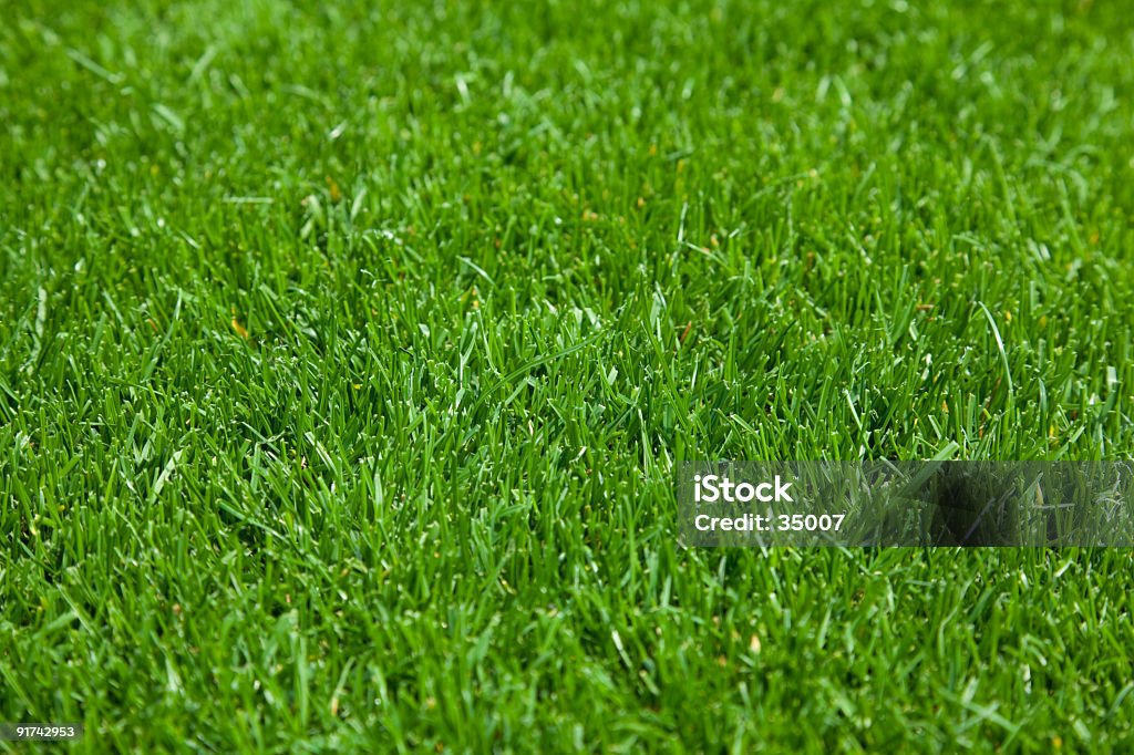 herbe - Photo de Abstrait libre de droits