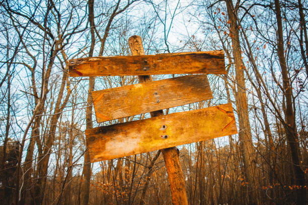 istock three arrow sign in a forest at winter 917430478