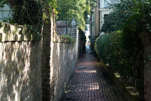 istock Narrow alley in Charleston 917431276