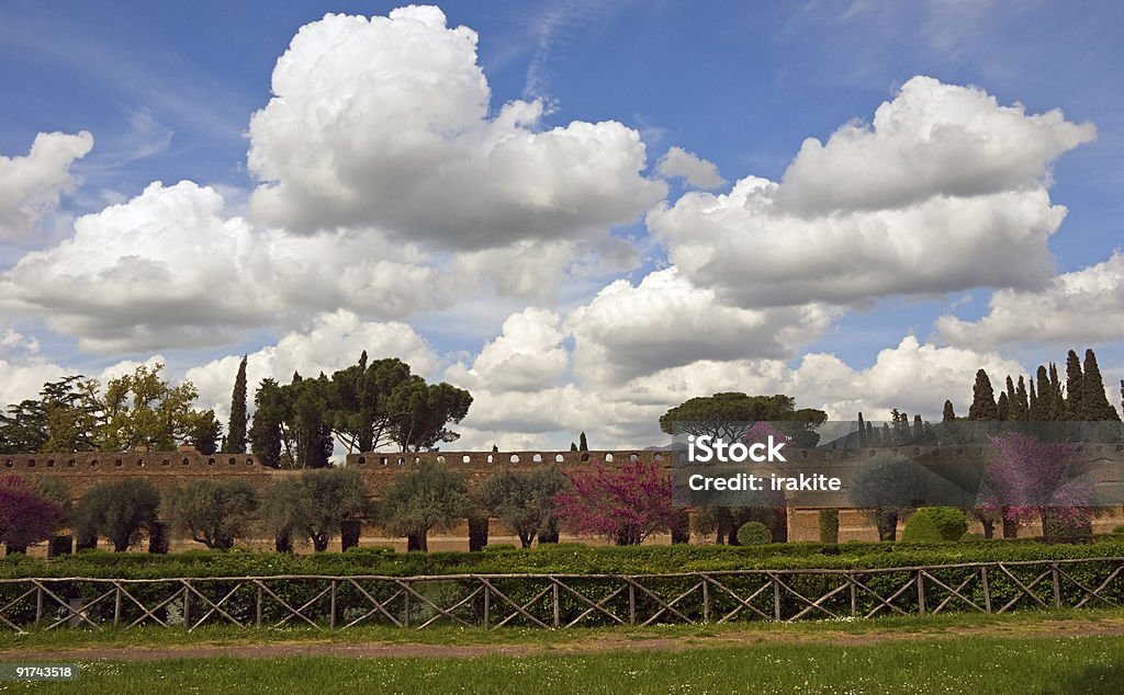 Villa Adriana, Tivoli, Lazio, Italia - Foto de stock de Arbusto libre de derechos