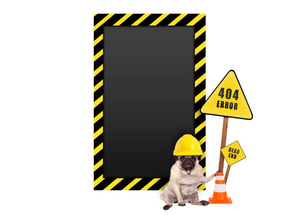 istock pug dog with yellow constructor safety helmet and 404 error and blank warning sign 917436622