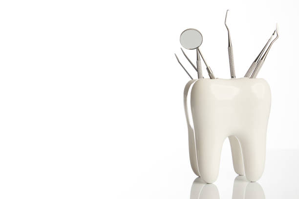 model zębów dentystycznych z metalowym sprzętem do stomatologii medycznej - dental drill obrazy zdjęcia i obrazy z banku zdjęć