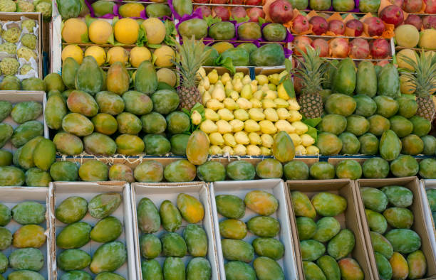 Mango, guava, melon, pineapple and pomegranate are displayed on the farm market. Fruit background. Healthy eating. Concept of autumn agricultural harvest (selective focus)