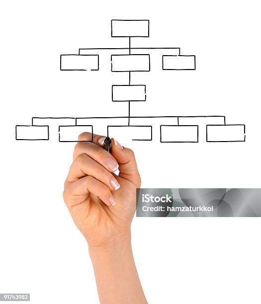 Foto de Mão De Desenho Gráfico Em Branco Organização e mais fotos de stock de Organograma de Empresa - Organograma de Empresa, Caneta, Dados