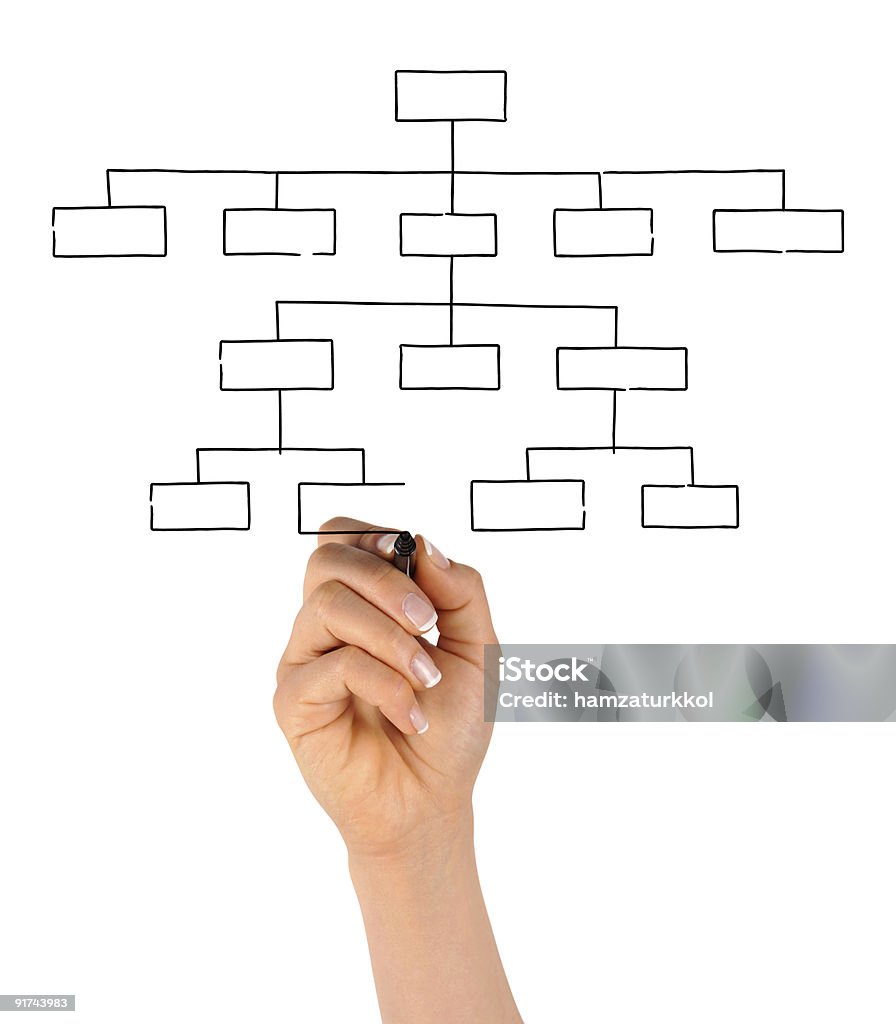 Hand Drawing Blank Organization Chart Organization Chart Stock Photo