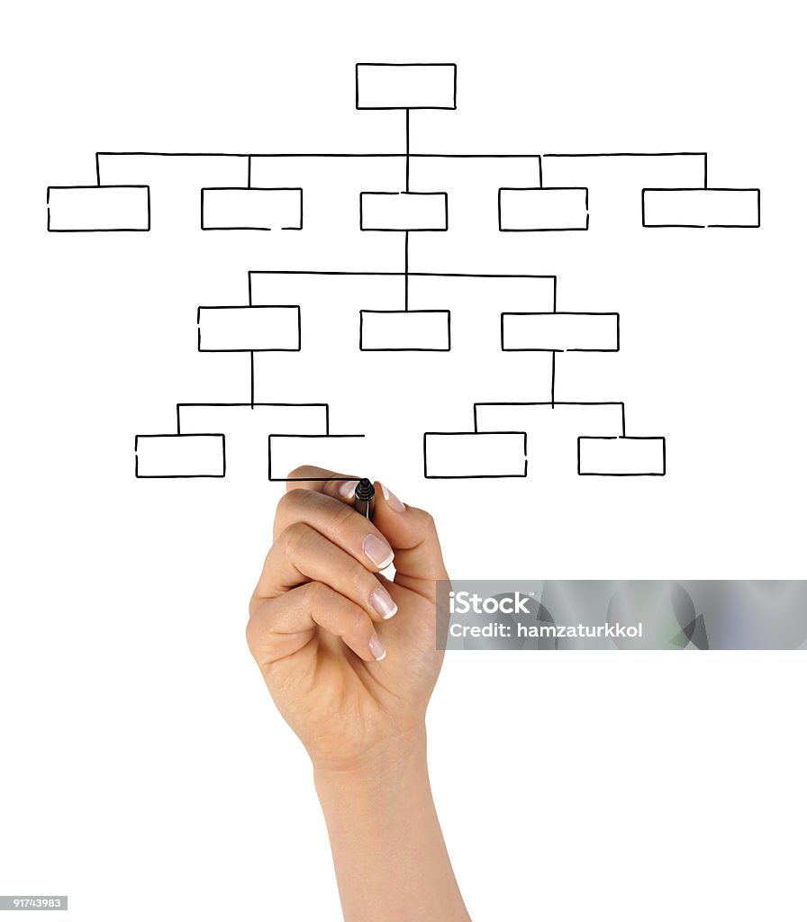 Рука рисунок пустая Схема организации - Стоковые фото Организационная диаграмма роялти-фри