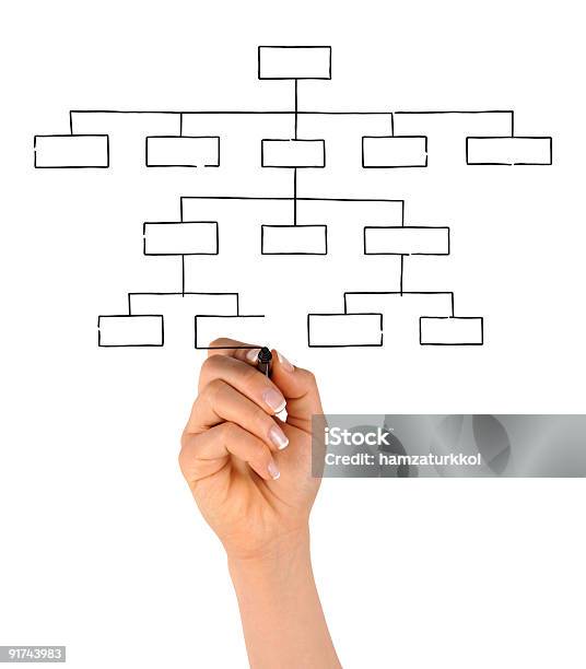 Рука Рисунок Пустая Схема Организации — стоковые фотографии и другие картинки Организационная диаграмма - Организационная диаграмма, Белый фон, Бизнес