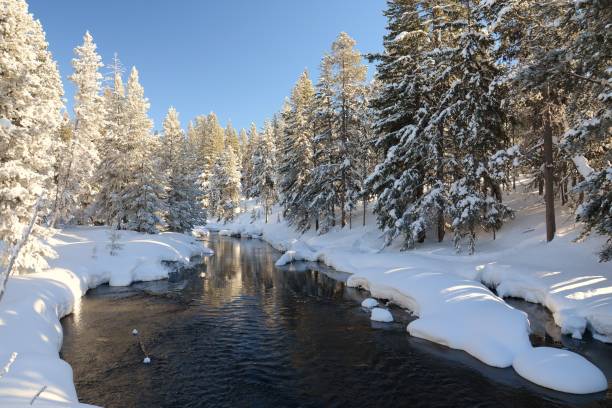 istock Firehole River in Winter with Snow Covered Trees on its Banks 917441472