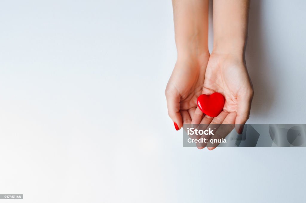 Red heart holding in female hands Valentine's day concept. Organs donation concept. Charity and health care concept. Hand Stock Photo