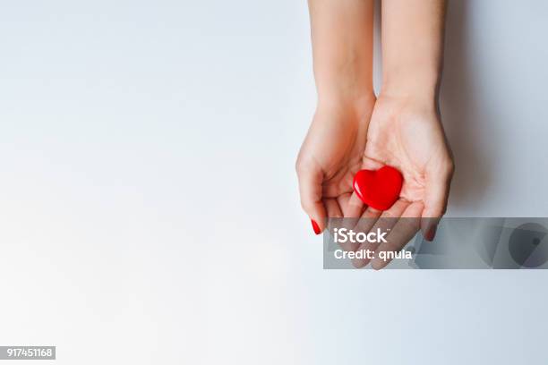 Red Heart Holding In Female Hands Stock Photo - Download Image Now - Hand, Blood Pressure Gauge, Charity Benefit