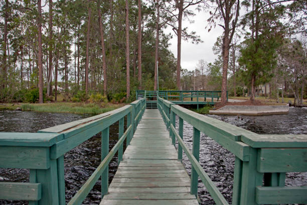 an old green wharf beside a lake surrounded by florida trees