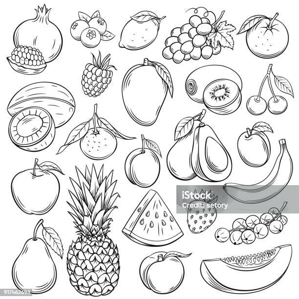 Vector Skizze Früchte Stock Vektor Art und mehr Bilder von Obst - Obst, Illustration, Zeichnung