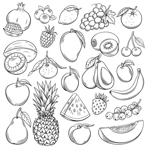 ilustraciones, imágenes clip art, dibujos animados e iconos de stock de frutas de dibujo vectorial - fruta ilustraciones