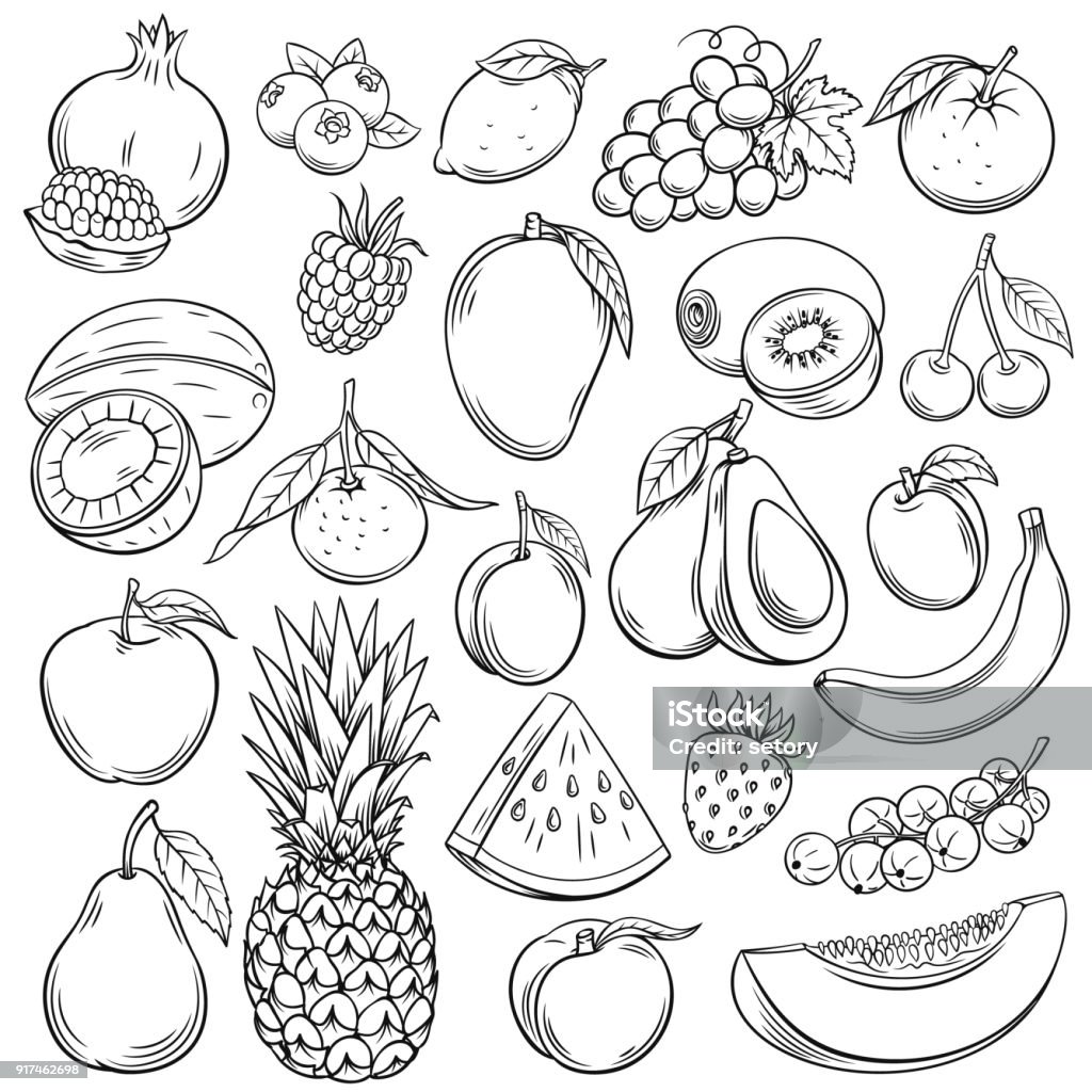 Vector sketch fruits Vector sketch fruits and berries icons set. Decorative retro style collection hand drawn farm product for restaurant menu, market label. Mango, blueberry, pineapple, mandarin and etc. Fruit stock vector