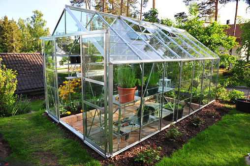 a green house full of flowers and plants