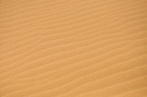 istock San dunes in the desert 917471360