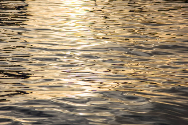 istock natural background with beautiful sea waves at sunset 917472564