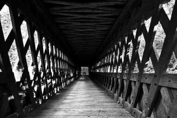 istock Nissitissit Covered bridge tunnel black and white 917476208