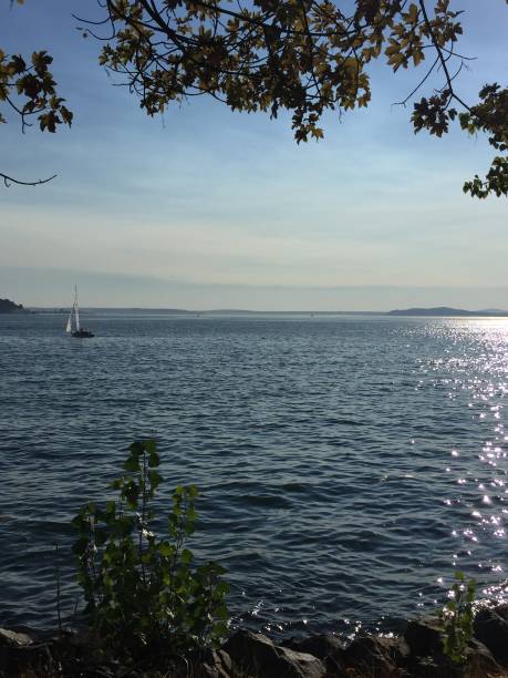 istock View of Puget Sound 917487162