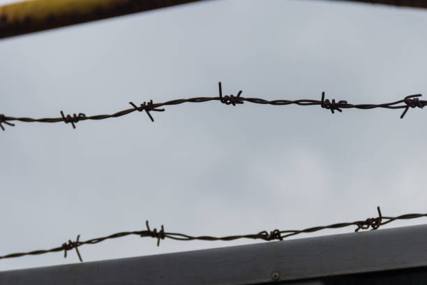 istock Close-up of barbed wire against cloudy sky 917493348