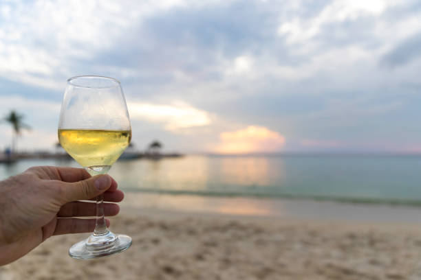 Human Hand Holding White Wine Glass at Beach at Sunset, Curacao