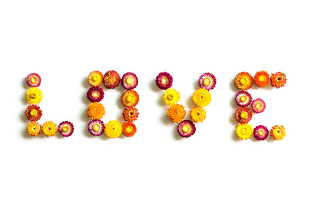 istock Colorful flowers word love 917502438