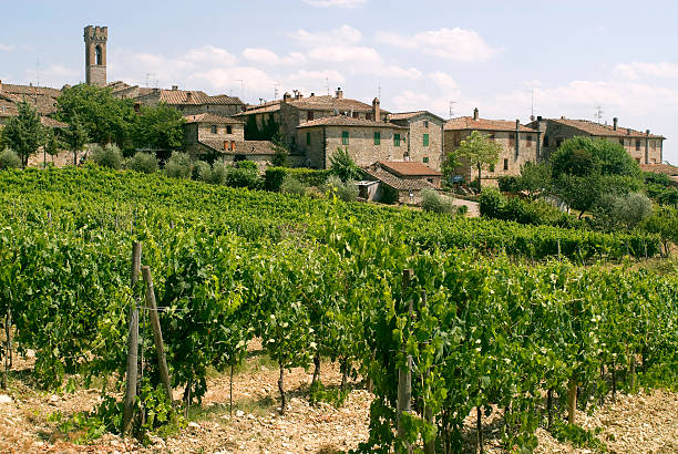 istock Villa a Sesta (Chianti, Tuscany, Italy): The village and vineyards 91750251