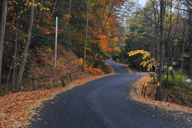 New York State, US
