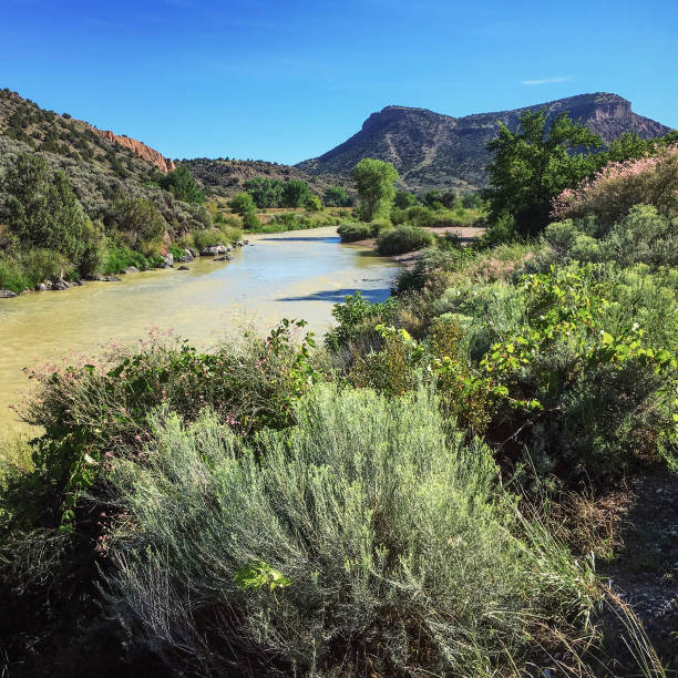 istock Rio Grande del Norte 917505372